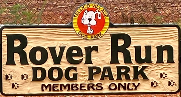 Rover Run photo 2